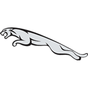 Jaguar Jaguar